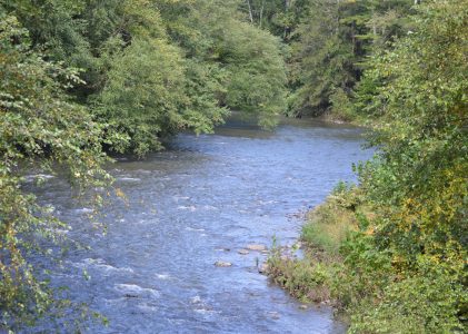 Swatara Creek