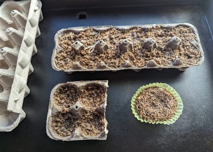 Easy DIY Firestarters: Tea Light Candle, Sawdust, and Egg Carton