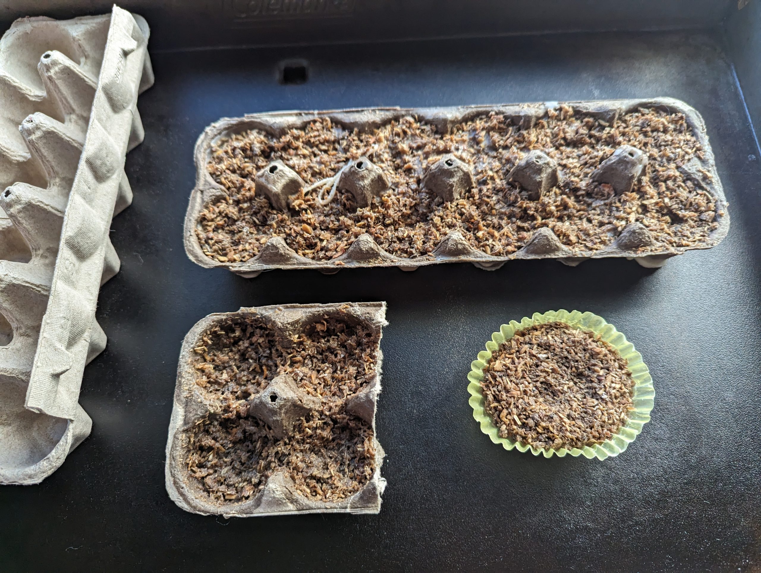 Easy DIY Firestarters: Tea Light Candle, Sawdust, and Egg Carton